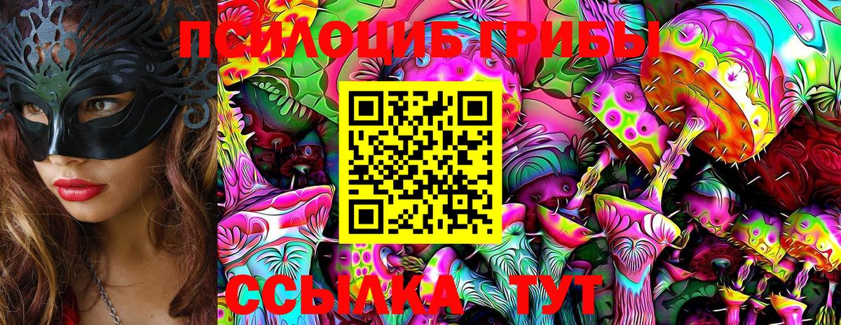 Псилоцибиновые грибы Cubensis Чебаркуль